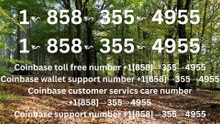 {{BEEN}}≋ F⇢ulL ⁂ 《||Coinbase®||》CUSTOMER CARE©SUPPoRT℗ Phone NuMber