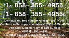 |》|》『Coinbase CUSTOMER® SERVICE©』 CARE℗ NUMBERS TOLL FREE NUMBER: Easy Step by Step Guide