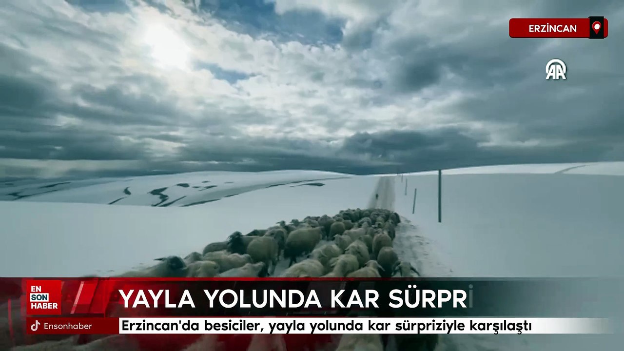 Erzincan'da besiciler, yayla yolunda kar sürpri...