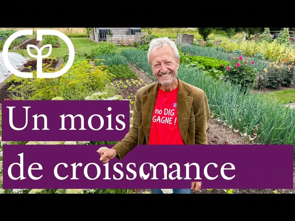 Visite du potager : cucurbitacées incroyables, récolte de pommes de terre et astuces anti-lapins