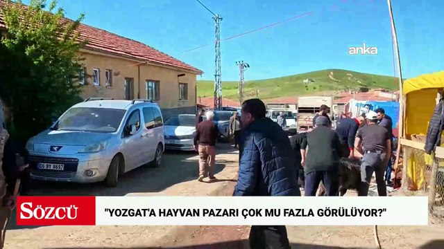 Yozgat'ta kurban pazarı isyanı: Yozgat'a hayvan pazarı çok mu fazla görülüyor?