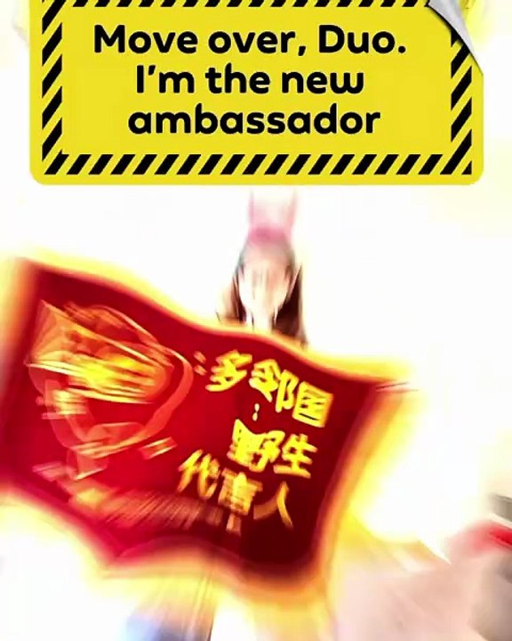 Duolingo