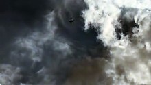 Fly High