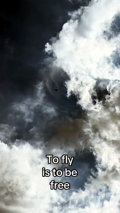 Fly High
