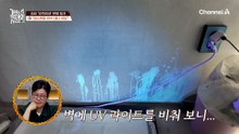 서로 물고 물리는 아수라장의 문제犬들!?