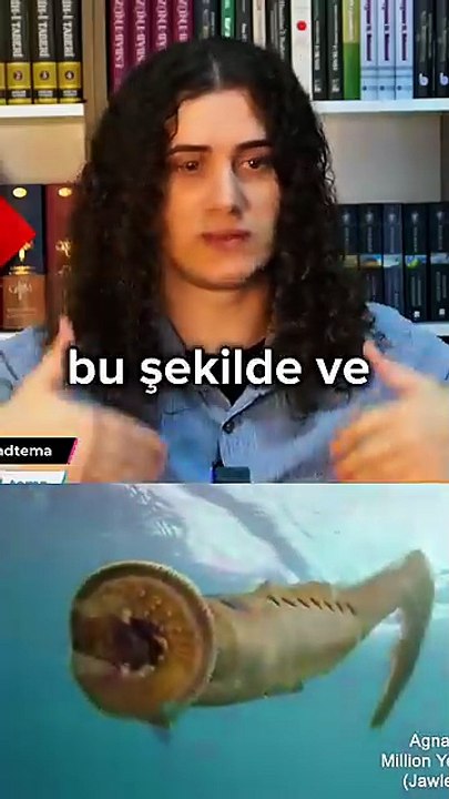 Evrimin Kanıtı - Diamond Tema