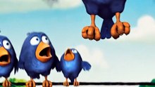 Bro turned into a HELICOPTER! 🚁💀 (Wait for it) #talkingbirds