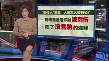泰国虾6月禁进口   大马渔业总会: 国内养殖虾料涨30%