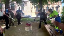 La Policía Local retira una culebra de escalera en la plaza Conde Cheste