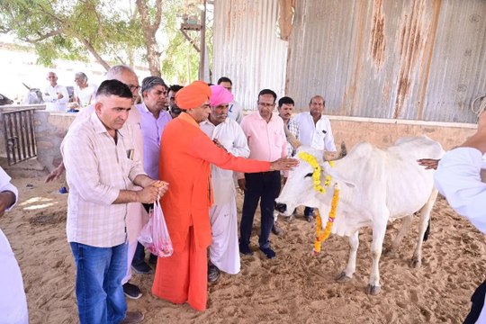 भादरिया में वंदे गंगा जल संरक्षण अभियान, गोशाला में किया पौधरोपण
