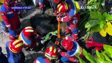 Kocak Tapi Tegang!  Kumpulan Aksi Sapi Kurban Ngamuk, Damkar Sampai Turun Tangan