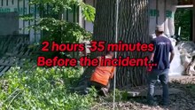 Abattre un arbre trop près d'une maison... FAIL