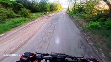 Il se prend un lièvre en trottinette et ça pique