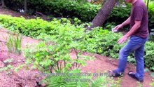 What Does That Nature Say to You (2025)