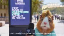 Charlotte d’Ornellas : «L’Assemblée aura, quoi qu’il arrive, le dernier mot»
