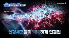 기억 저장소인 '해마'의 노화 속도를 늦추는 방법은?!