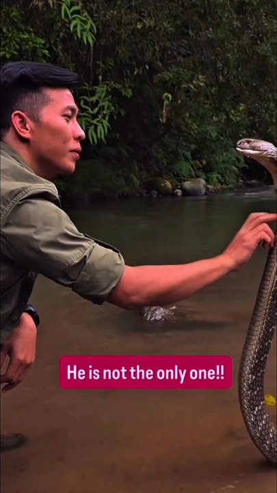 🐍
