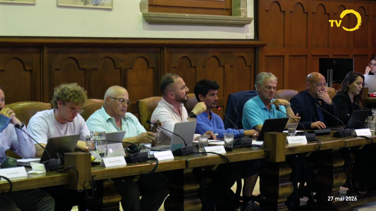 Sujet: la grande offensive du MCG au dernier Conseil municipal