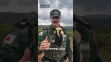 Tenente da Polícia Militar viraliza ao compartilhar resgates de animais em Minas Gerais #shorts