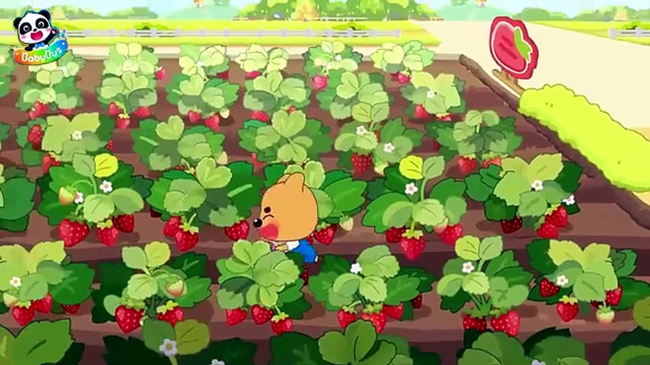 Sheriff_s Harvesting Adventure _ The Giant Pumpkin _ Sheriff Labrador _ Kids Cartoon _ BabyBus
