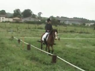 Aurélie dressage