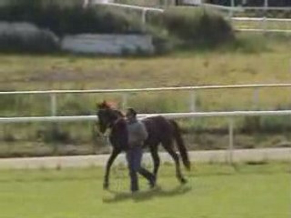 Jockey et cheval_0001