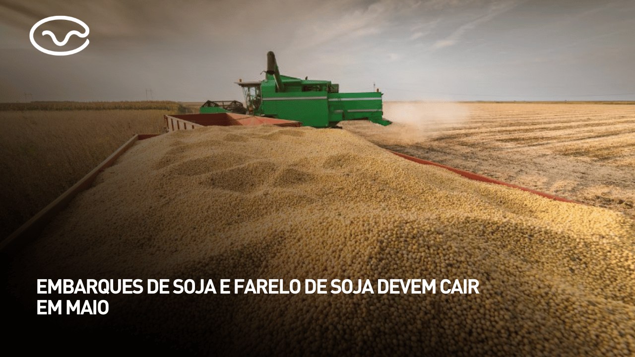 Embarques de soja e farelo devem cair em maio