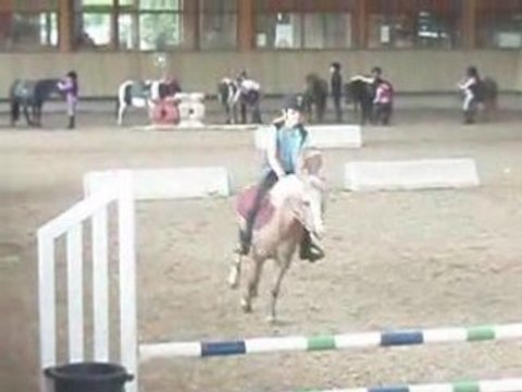 Fedwin du haras de Jardy en concours avec Moi
