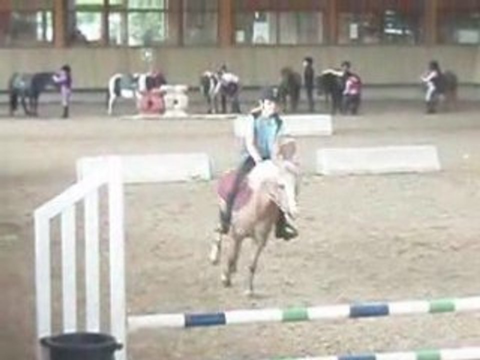 Fedwin du haras de Jardy en concours avec Moi