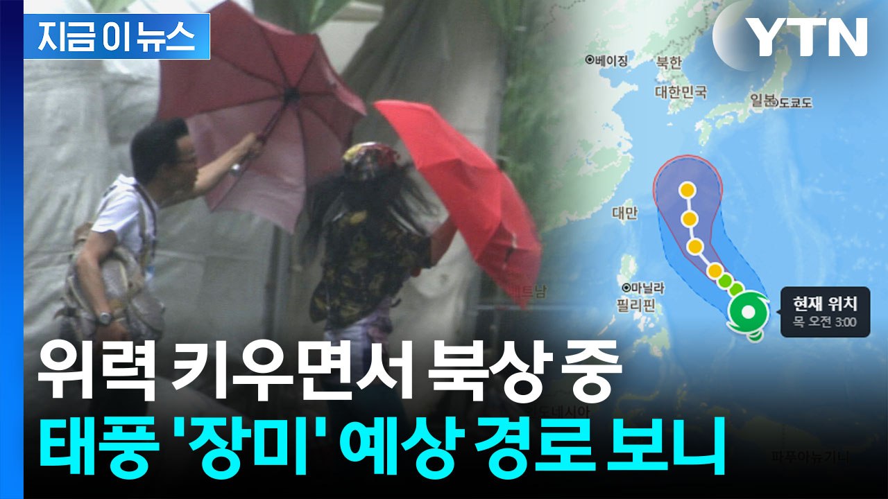 초속 40m로 세력 키우며 북상...태풍 '장미' 예측 경로 보니 [지금이뉴스] / YTN