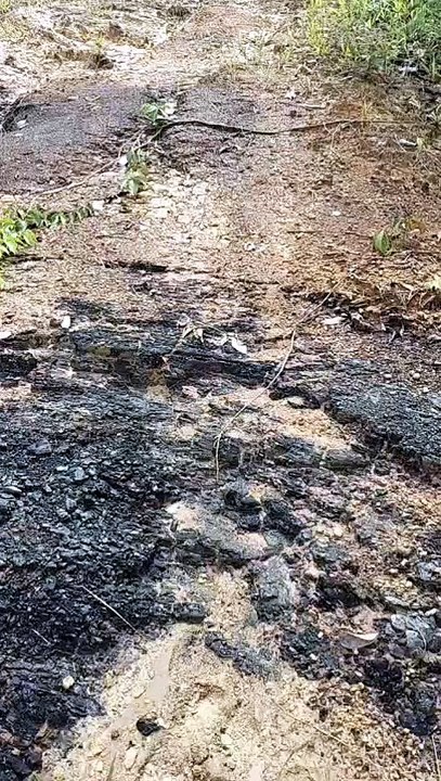 Inspection of a Natural Coal Outcrop at a Kalimantan Mining Site