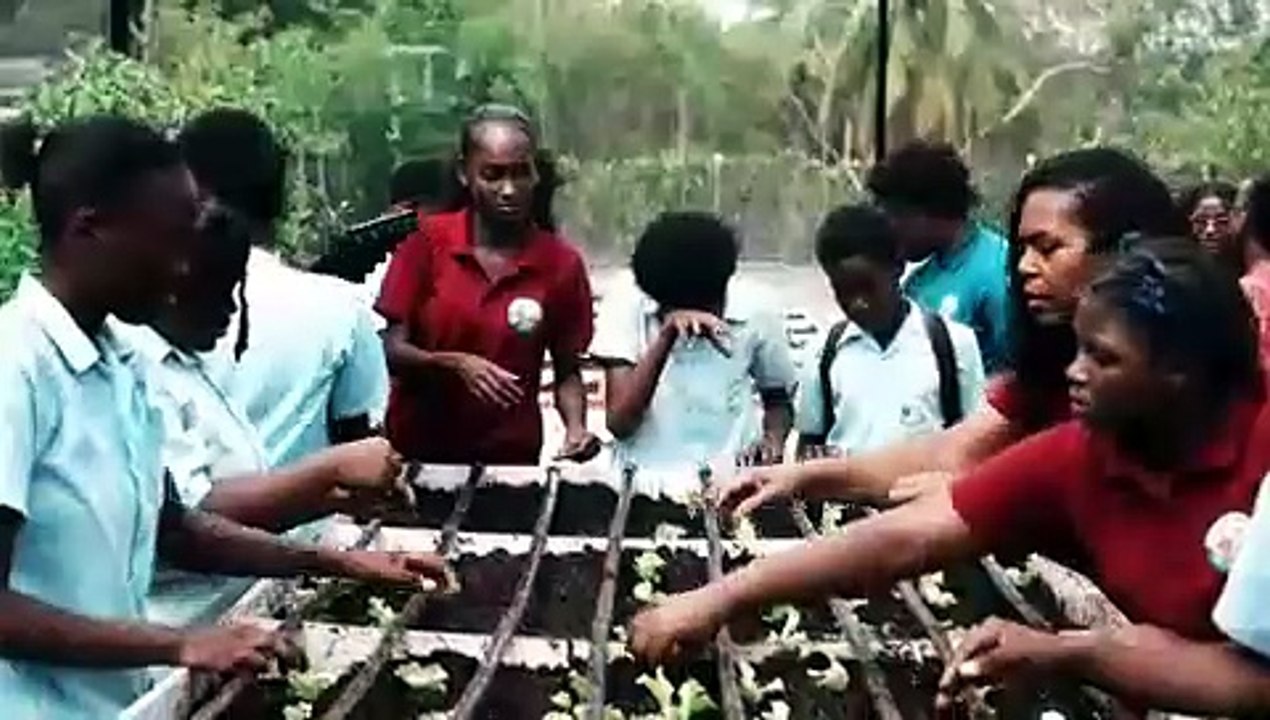 MALICK SEC GETS RBL FARMERS SHADE HOUSE