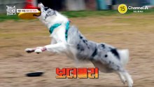 [예고] 단 한 순간도 방심할 수 없다! 끈질기게 따라 붙는 검은 그림자