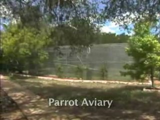 Avaries at Primarily Primates