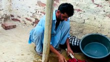 Yahan per 2 Saal se kapre nhi dhoi kya