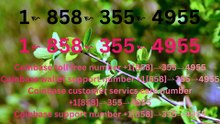 |》|》『Coinbase CUSTOMER® SERVICE©』 CARE℗ NUMBERS TOLL FREE NUMBER: Easy Step by Step Guide