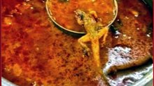 Dead Lizard Found In BHU Hostel Chicken Curry, Students Fall Sick And Stage Protest