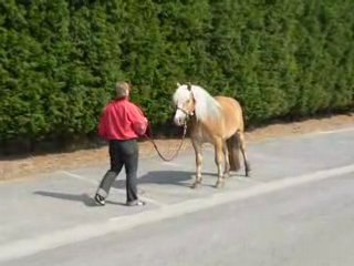 2 semaines d'étho 005