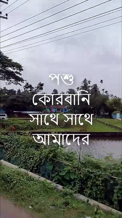 পবিত্র ঈদুল আযহা