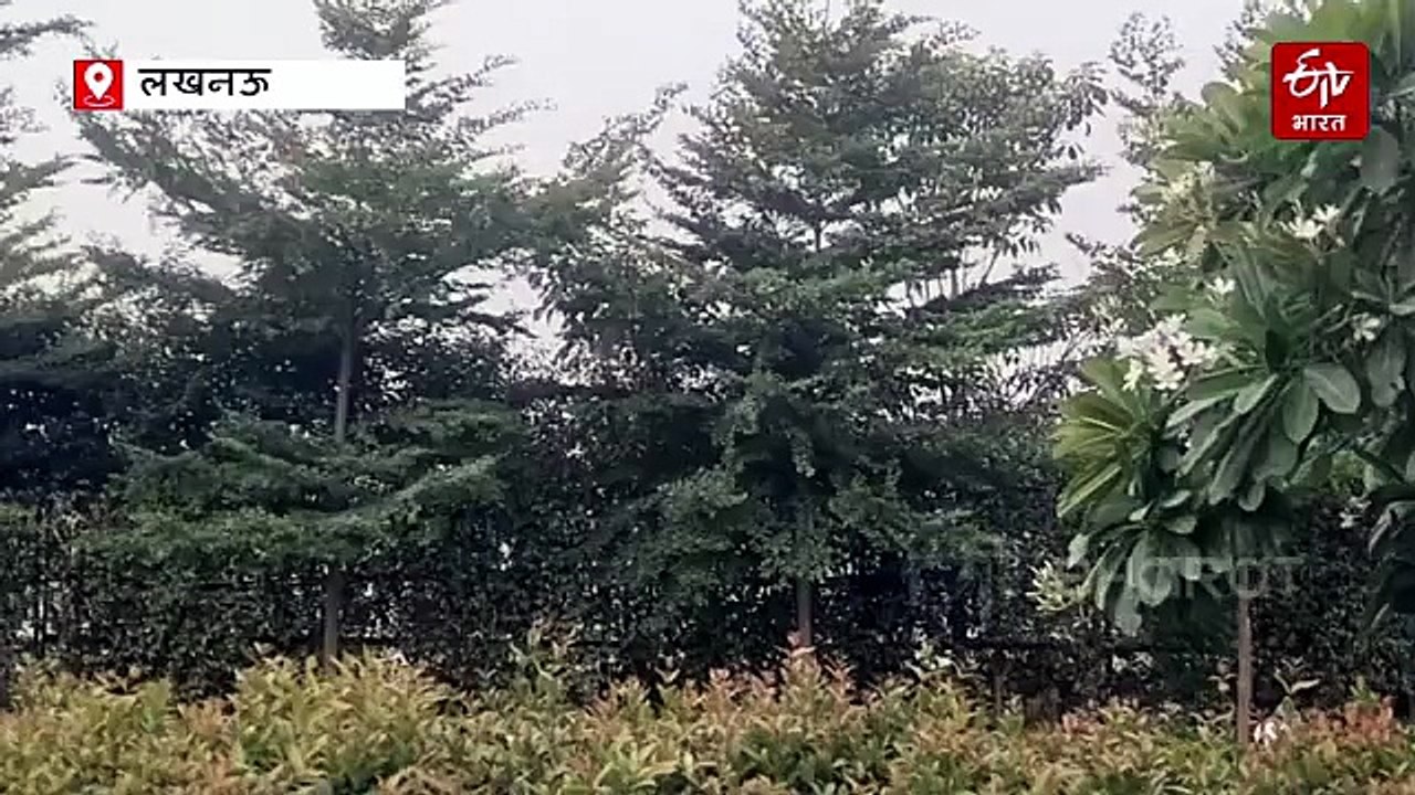 UP में मौसम ने ली करवट; 30 से अधिक जिलों में बारिश, आंधी-तूफान के साथ गिर सकते हैं ओले