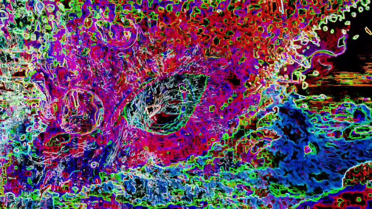 DJ Grizzlepuss - TOM-FOCKERY (Official Glitch-Chaos Visualiser)