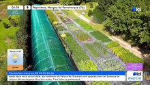 28/05/2026 - ici matin par ici Normandie (Seine-Maritime - Eure) en vidéo