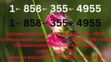 {{ＯFFICIAL}}™ {[GUIDE]} ⁂Coinbase® Toll free© helpline® Numbers Contact⁂ (24/7) Live Person Care)