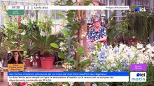 28/05/2026 - ici matin par ici Hérault en vidéo