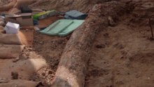 A Closer Look at a Massive Prehistoric Elephant Tusk Unearthed by Paleontologists