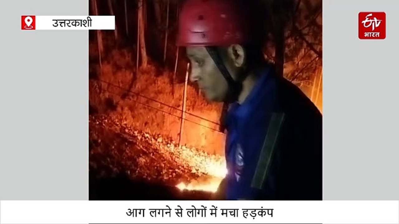 उत्तरकाशी: बड़ेथी जंगल की भीषण आग गंगोत्री हाईव...