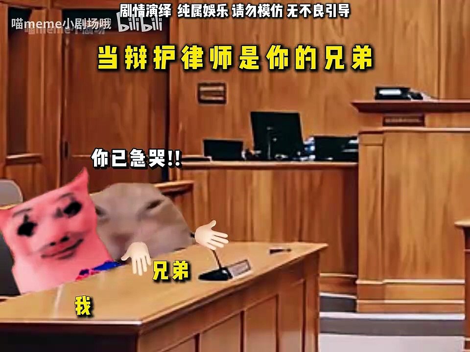 当辩护律师是你兄弟