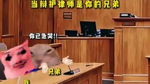 当辩护律师是你兄弟