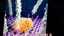 Superbacterias