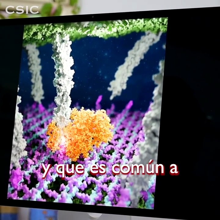Superbacterias